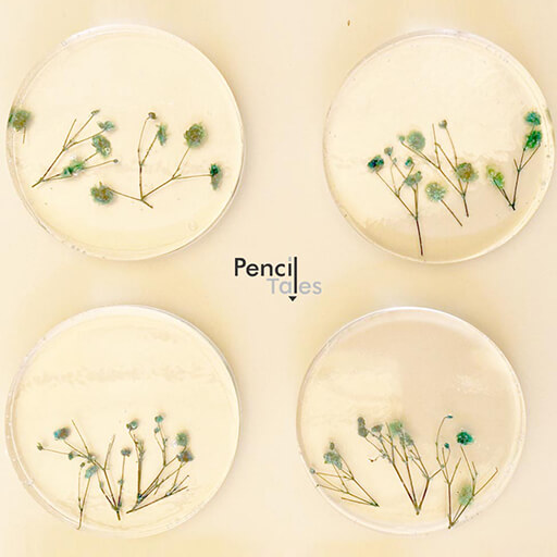 Products- Penciltales | The Unique & Elegant Artefacts Shop
